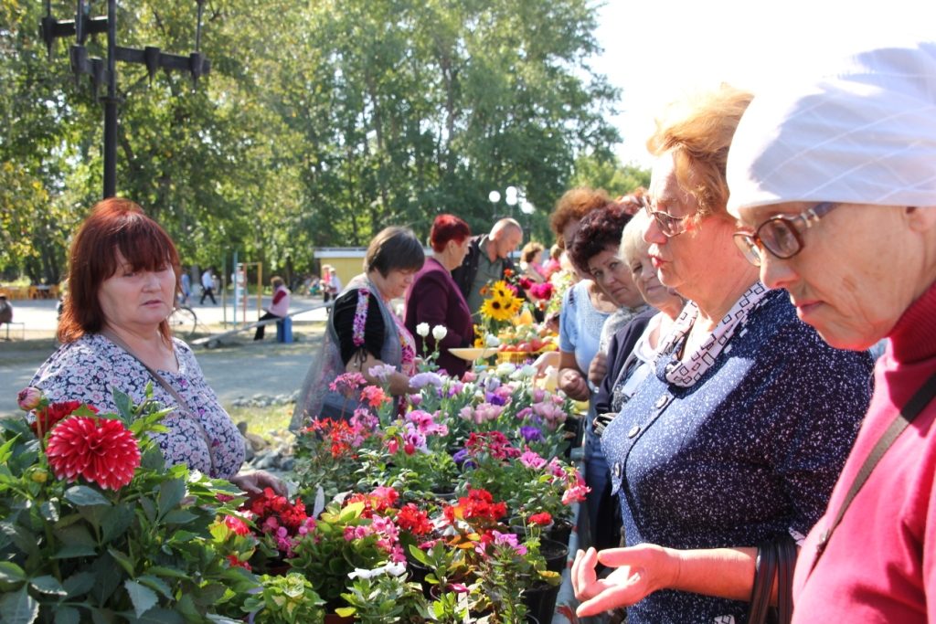 Чем коркинские садоводы и мастера удивляли земляков и гостей города?