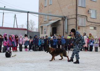 Коркинские полицейские продемонстрировали школьникам работу служебных собак