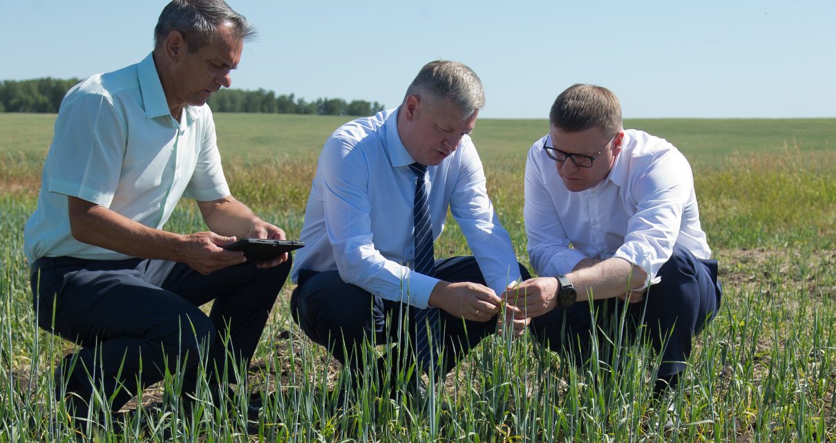 Пострадавших от засухи аграриев поддержал губернатор