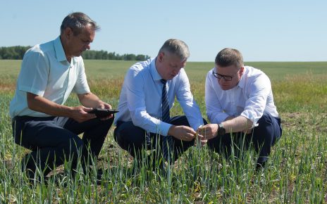 Пострадавших от засухи аграриев поддержал губернатор