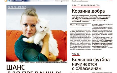 Электромонтёр из Первомайского спасает брошенных кошек и собак