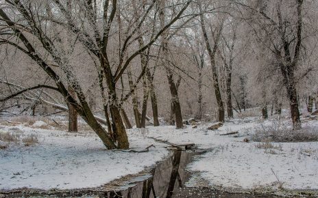 Жителей частного сектора Коркино просят расчищать от снега прилегающую территорию, чтобы избежать подтоплений  