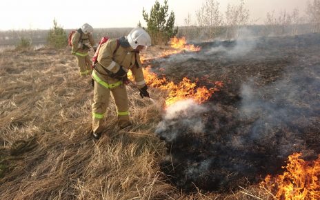 В Коркино зафиксированы первые природные пожары