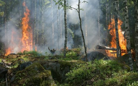 Коркинские огнеборцы тушили лесной пожар за деревней Шумаки