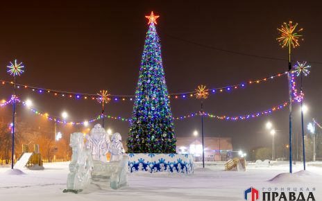 Депутаты Коркинского района выделили средства на строительство ледового городка