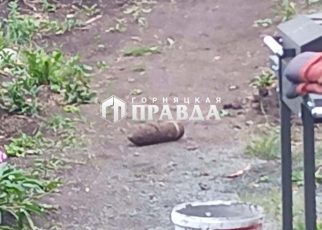 В Первомайском владелец садового участка наткнулся на артиллерийский снаряд времён гражданской войны