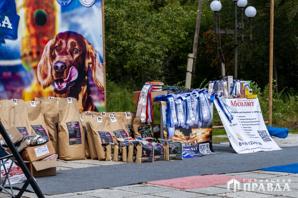 В Коркино сегодня празднуют День города и День шахтёра