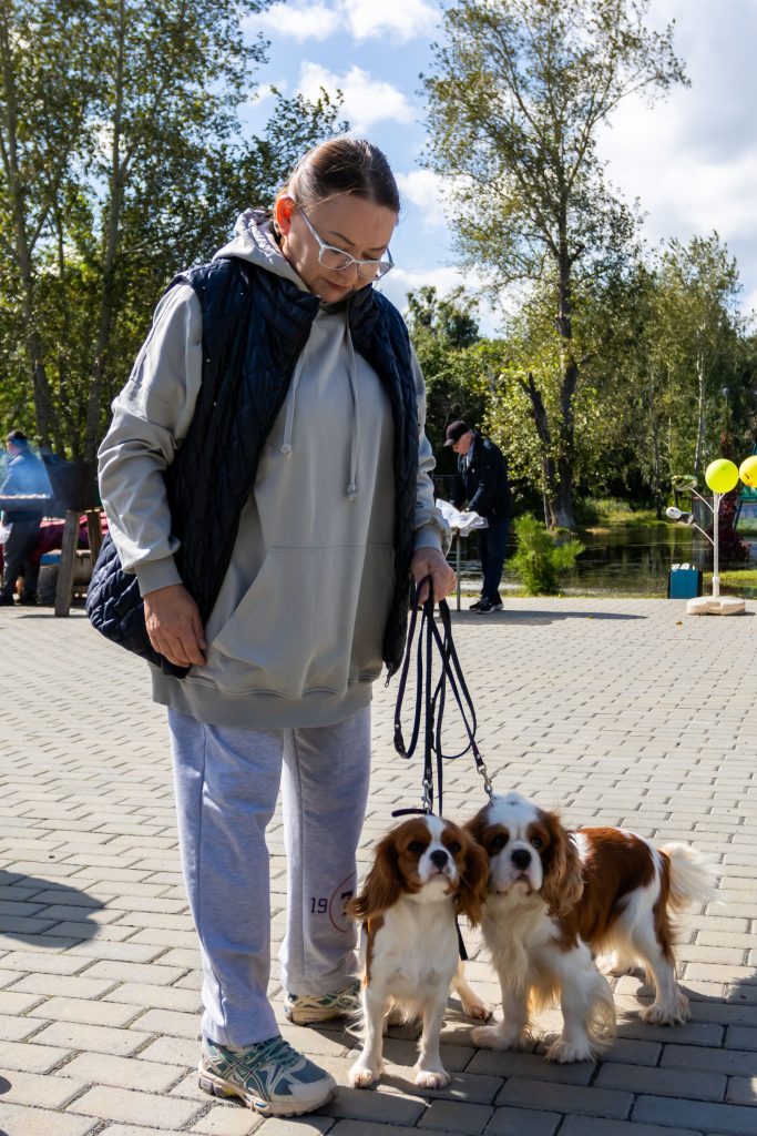 В Коркино сегодня празднуют День города и День шахтёра