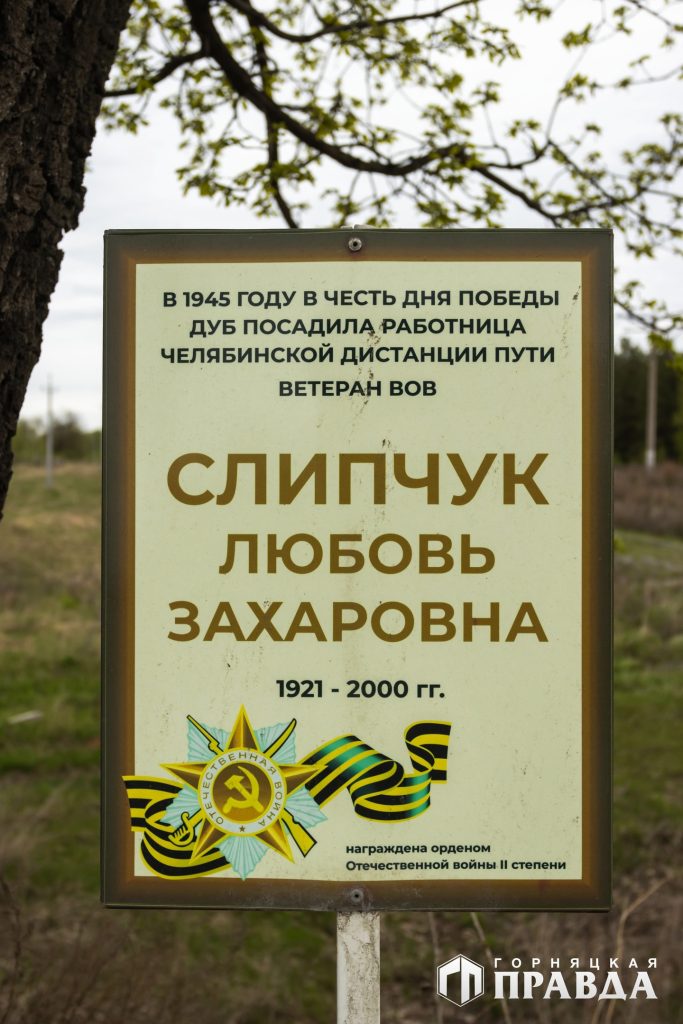 У переезда в Первомайский растёт дуб, посаженный участницей Великой Отечественной войны