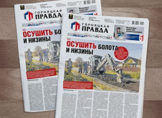 Кто помогает справиться с отводом грунтовых вод в Коркино?