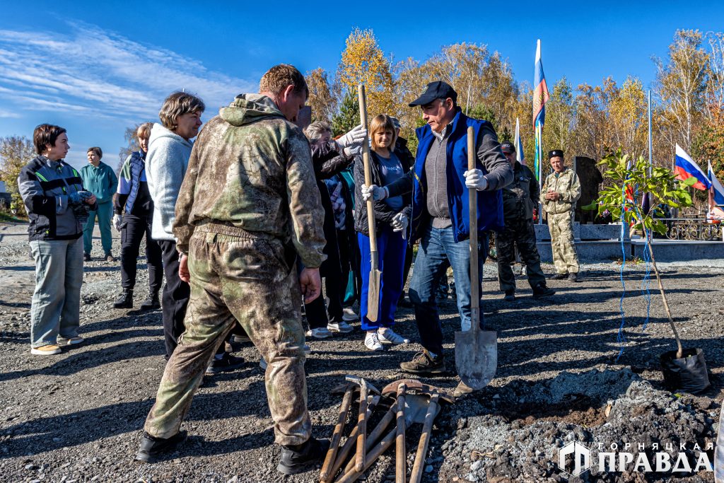 В Коркино на Аллее Героев посадили пирамидальные тополя и сирень