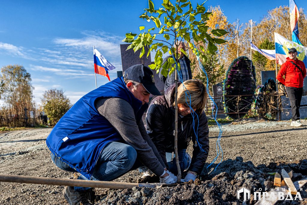 В Коркино на Аллее Героев посадили пирамидальные тополя и сирень