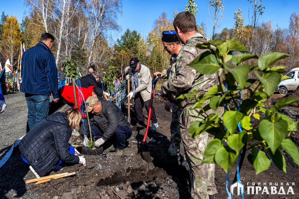 В Коркино на Аллее Героев посадили пирамидальные тополя и сирень