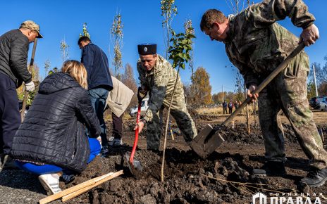 В Коркино на Аллее Героев посадили пирамидальные тополя и сирень