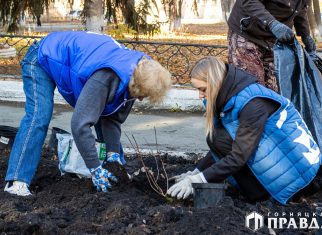 Сегодня члены местного отделения партии «Единая Россия» совместно с сотрудниками городской больницы № 1 облагородили клумбу у здания коркинского родильного дома