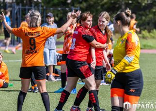 Черновик Черновик